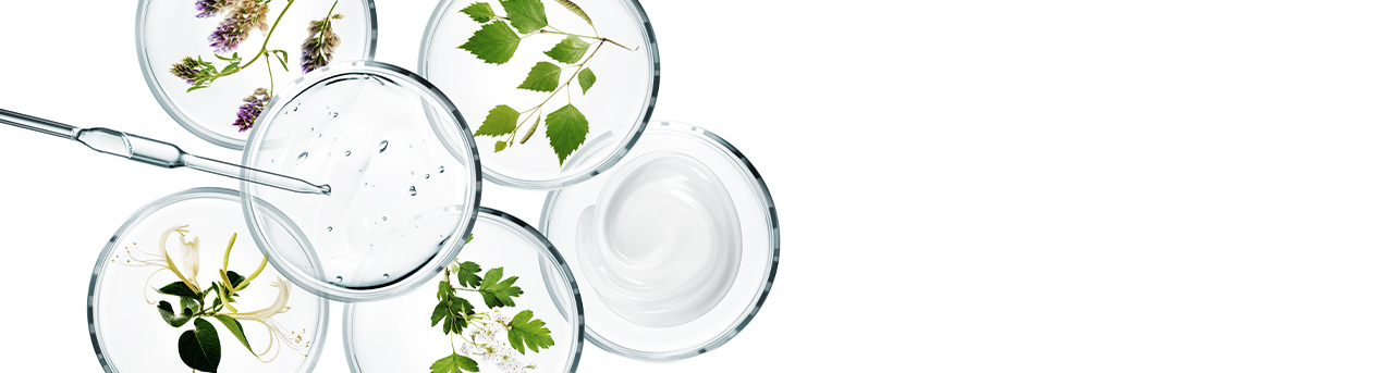 Sothys Organics ®